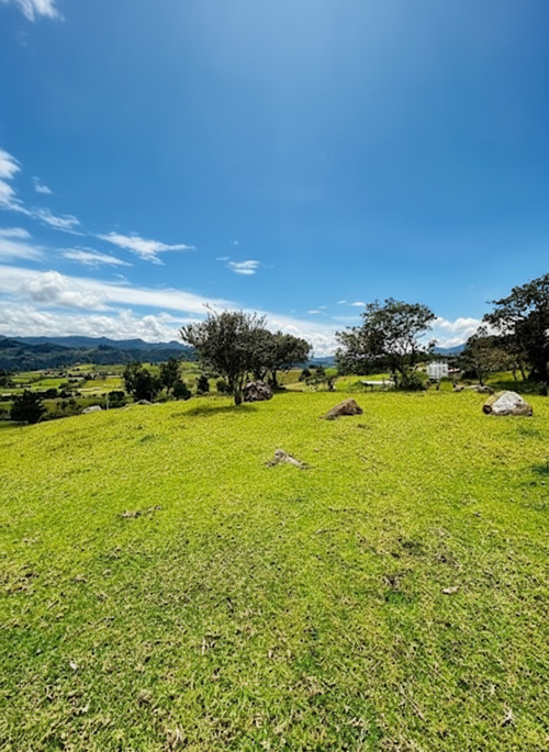 Lote en venta en San Jose De La Concepcion, La Calera, 7 m² · foto 11 de 20