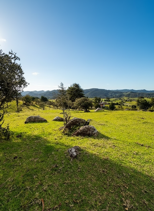 Lote en venta en San Jose De La Concepcion, La Calera, 7 m² · foto 12 de 20