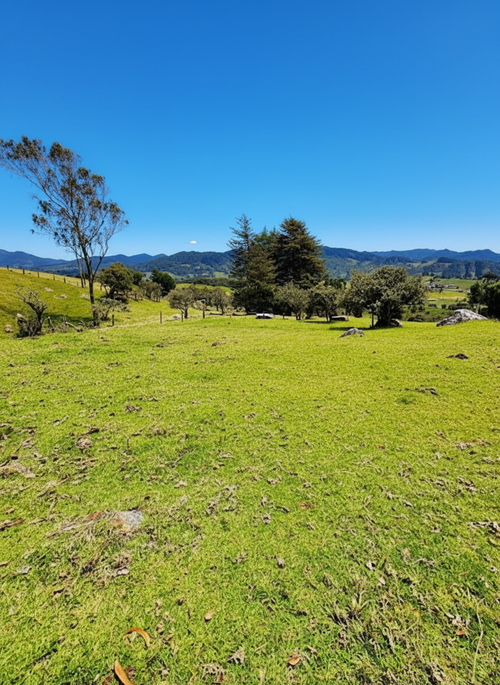 Lote en venta en San Jose De La Concepcion, La Calera, 7 m² · foto 13 de 20