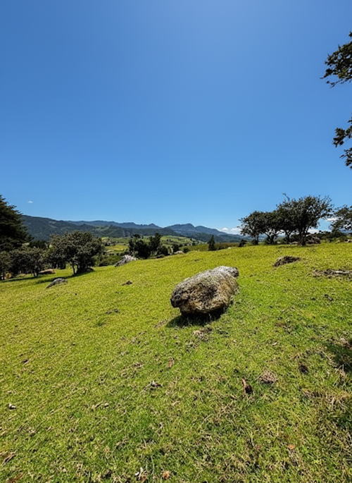 Lote en venta en San Jose De La Concepcion, La Calera, 7 m² · foto 14 de 20