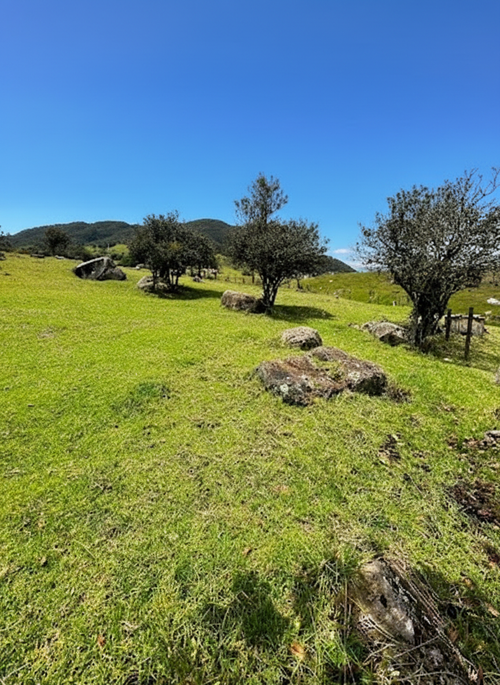 Lote en venta en San Jose De La Concepcion, La Calera, 7 m² · foto 16 de 20