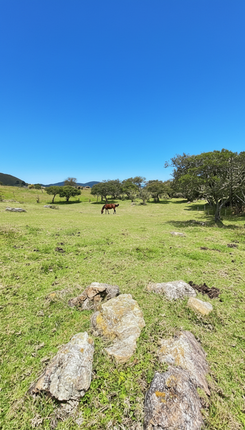 Lote en venta en San Jose De La Concepcion, La Calera, 7 m² · foto 20 de 20