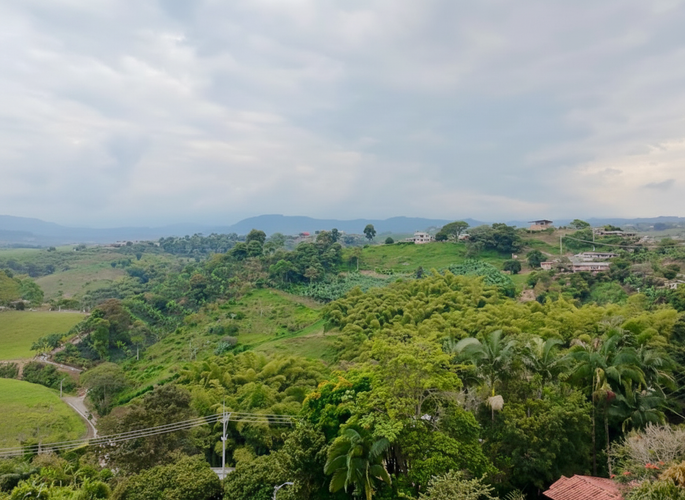 Finca en venta en Altagracia, Pereira, 100 m² · foto 3 de 24
