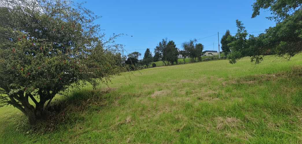 Lote en venta en Yerbabonita Bosque Nativo, Sopó, 1903 m² · foto 5 de 6