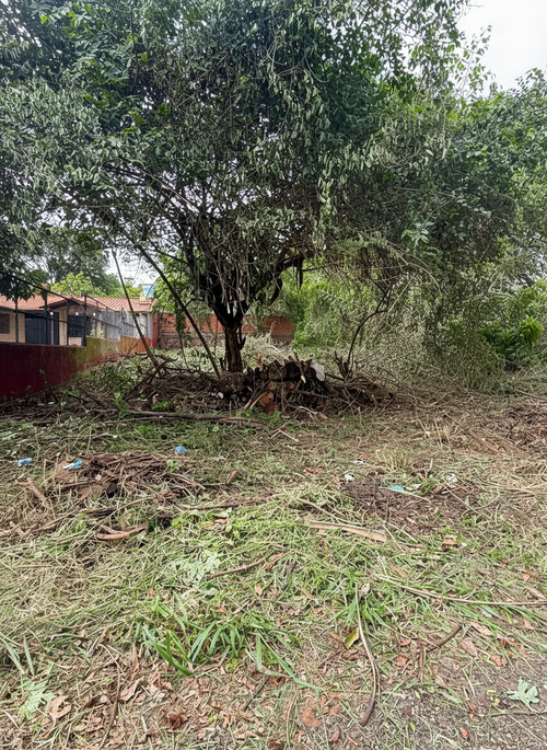 VENDO TERRENO EN LOMA MERLO, LUQUE - foto 2