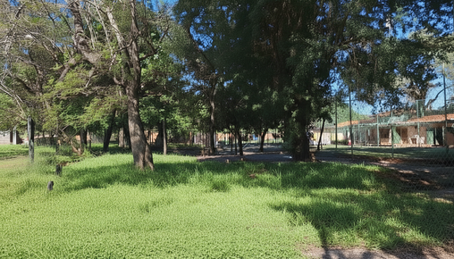 TERRENO EN BARRIO SAN MIGUEL DE SAN LORENZO.