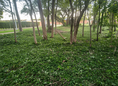 Exclusivo Terreno en San Bernardino: Inversión Estratégica con Ubicación Privilegiada y el Mejor Precio del Mercado.