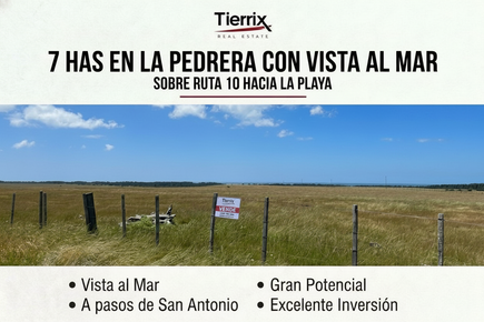 VENTA CHACRA CON VISTA AL MAR 7 HECTÁREAS CON VISTA AL MAR EN LA PEDRERA / SAN ANTONIO