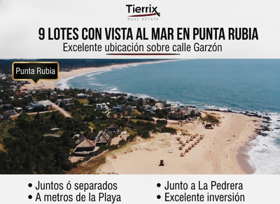 VENTA TERRENOS EN PUNTA RUBIA CON VISTA AL MAR PACK DE 9 LOTES