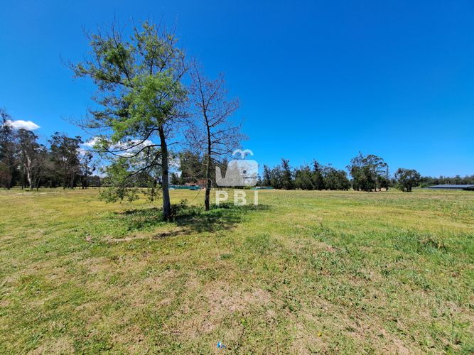 Invertí en Punta del Este: lote de 700m² en Barrio Privado - Ref ...