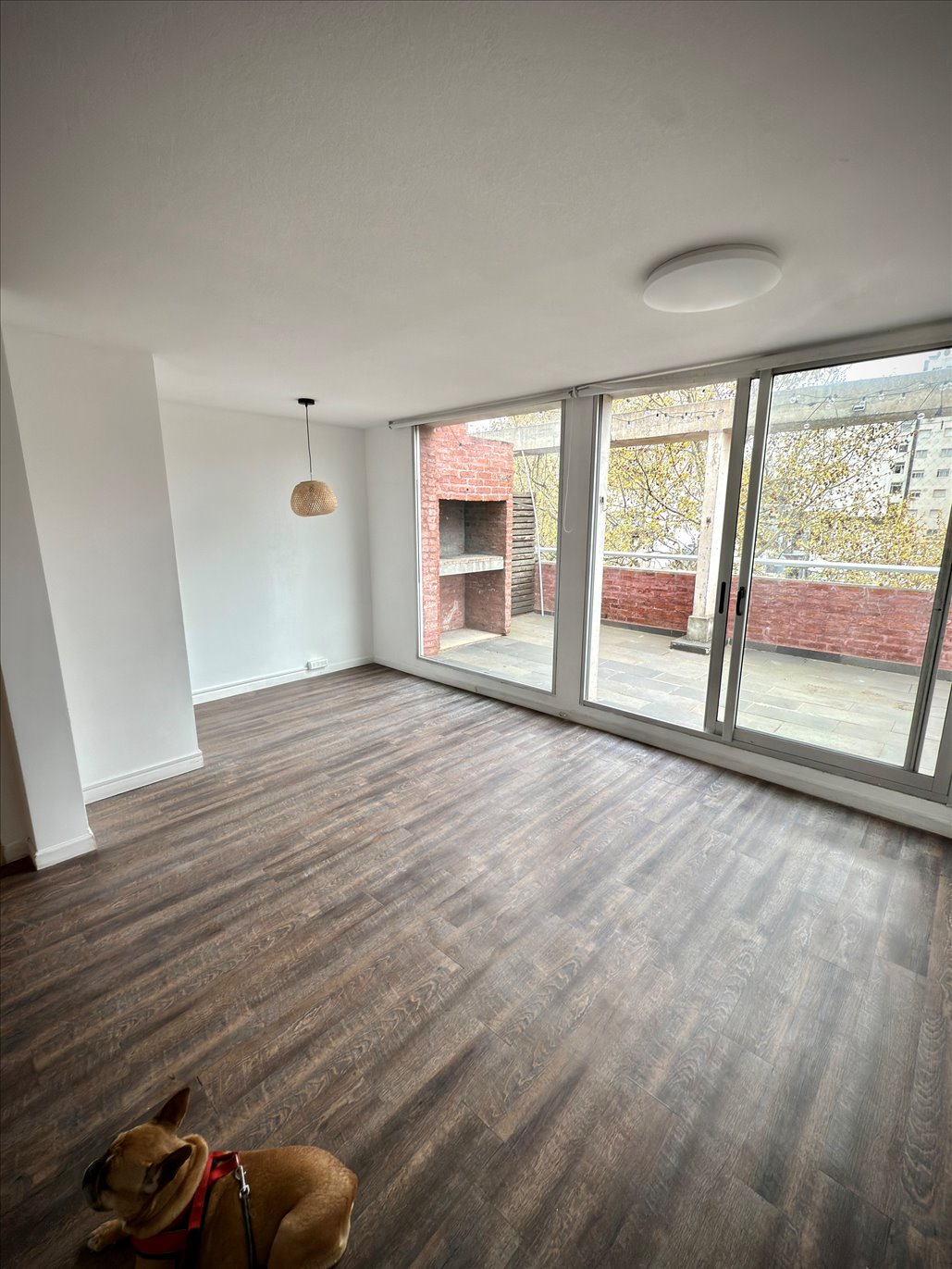 VENTA APARTAMENTO 2 DORMITORIOS, GARAJE Y GRAN TERRAZA CON PARRILLERO BARRIO SUR PENTHOUSE - Widok 3