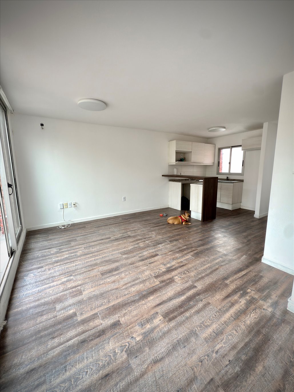VENTA APARTAMENTO 2 DORMITORIOS, GARAJE Y GRAN TERRAZA CON PARRILLERO BARRIO SUR PENTHOUSE - Widok 5
