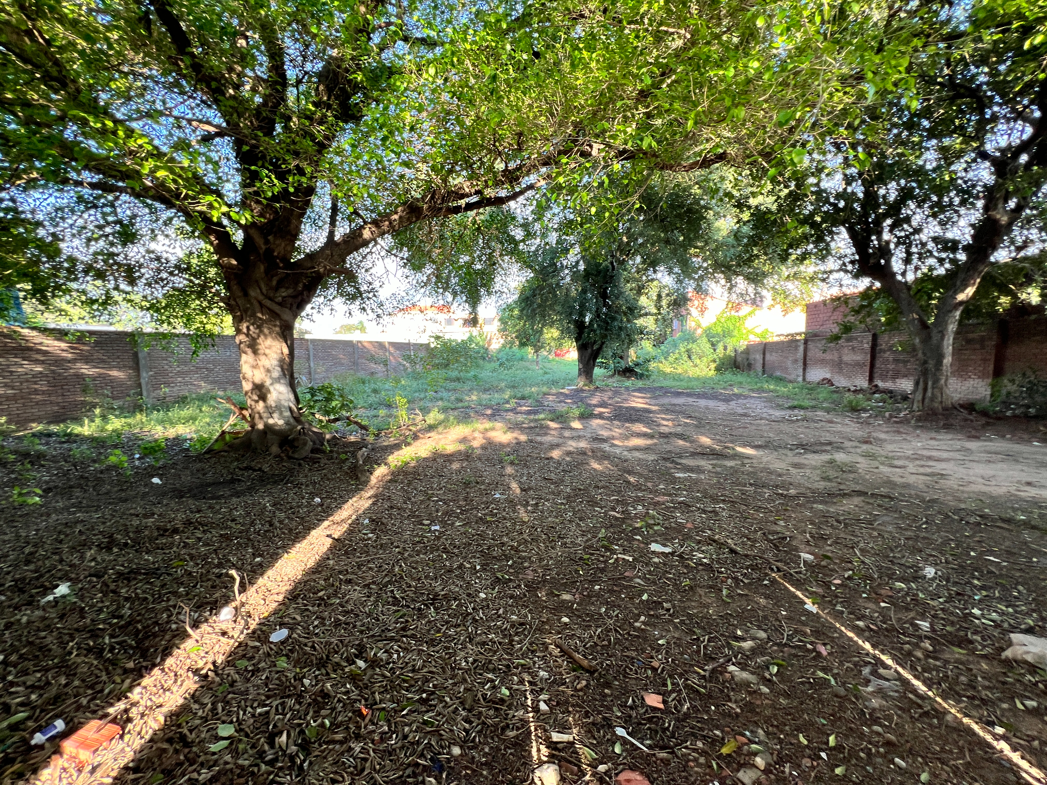 Terreno En Venta En Cotoca A Pasos De La Plaza Principal