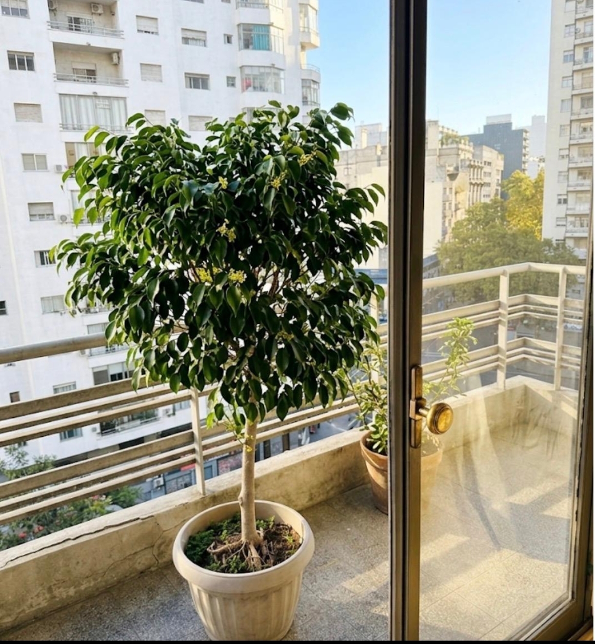 Dueño vende Apartamento 80 m dos dorm. dos baños amplio living terr al frente . - Widok 5