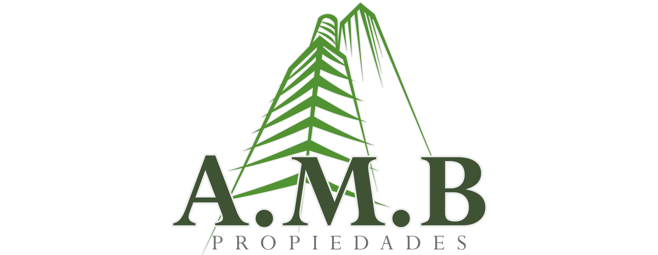 A.M.B. PROPIEDADES