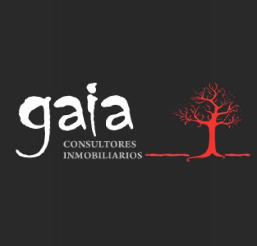 Mario Pareja Agente Inmobiliario 