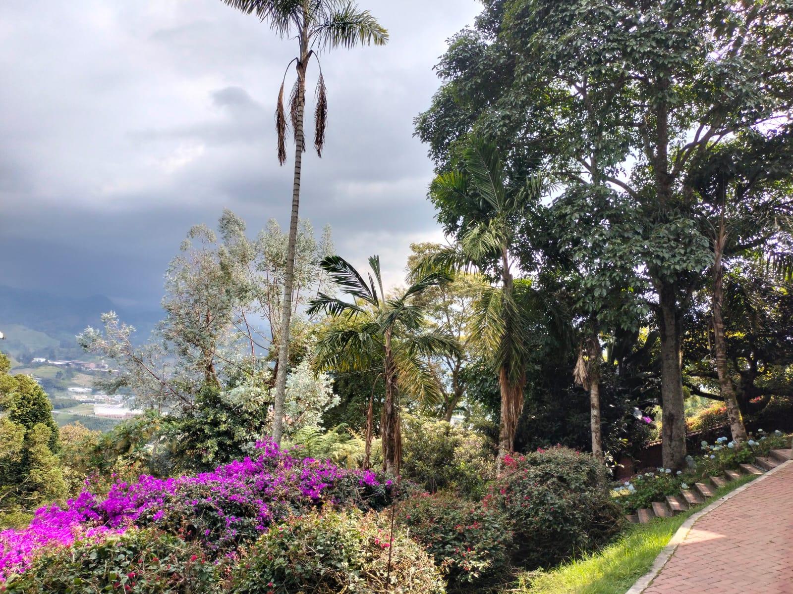 Casa en venta en Alhambra, Manizales · foto 5 de 24