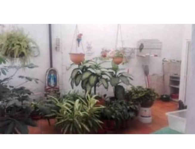 Casa de 9 alcobas en venta en San Alonso, Bucaramanga, 297 m² · foto 15 de 19