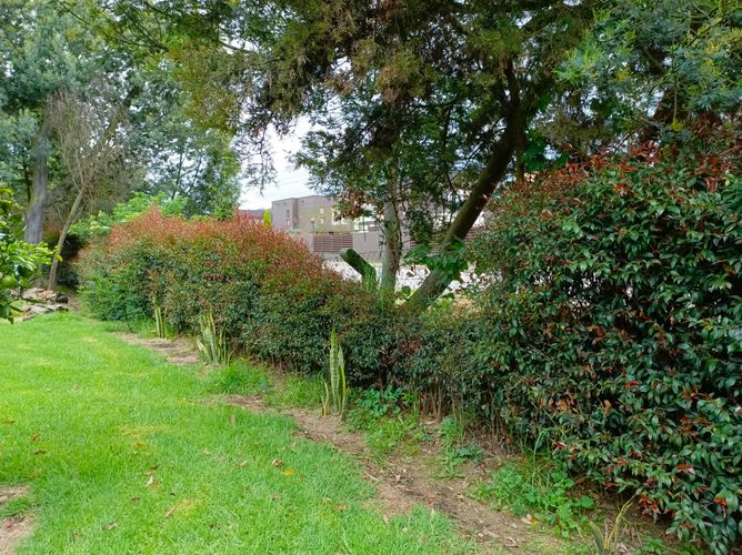 Lote en venta en Chuntame, Cajicá, 210 m² · foto 5 de 24