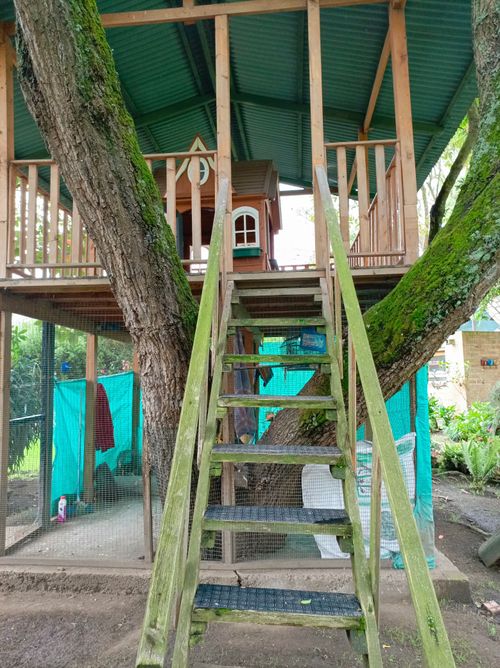 Lote en venta en Chuntame, Cajicá, 210 m² · foto 6 de 24