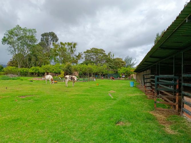 Lote en venta en Chuntame, Cajicá, 210 m² · foto 23 de 24