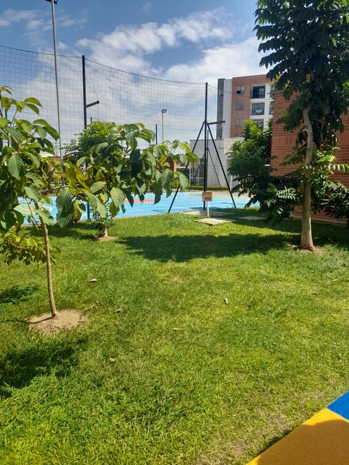 Apartamento de 3 alcobas en venta en Parque Natura, Jamundí, 62 m² · foto 11 de 19