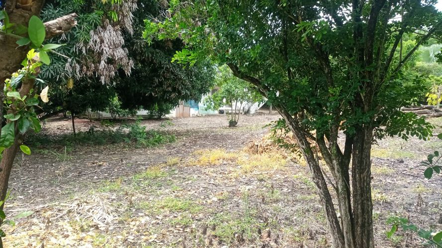 Casa de 2 alcobas en venta en Ricaurte · foto 5 de 13