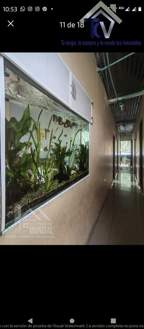 Casa de 4 alcobas en venta en Morrorico, Bucaramanga, 192 m² · foto 10 de 14