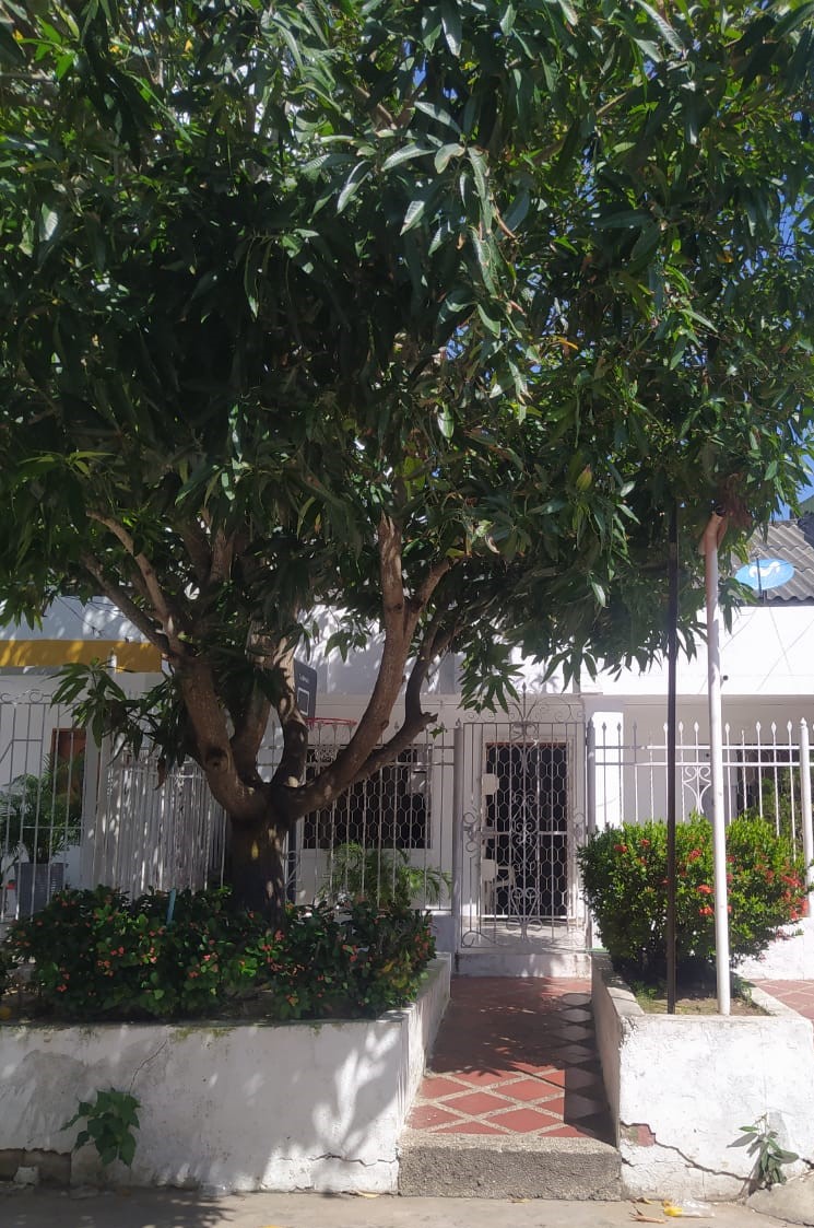 Casa en venta en Boston, Barranquilla · foto 2 de 8