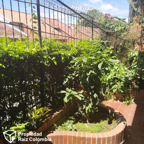 Casa de 4 alcobas en venta en Jordan, Ibagué, 194 m² · foto 20 de 24