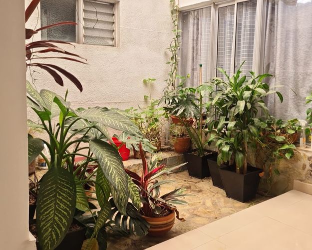 Local en arriendo en Las Acacias, Medellín, 370 m² · foto 7 de 13