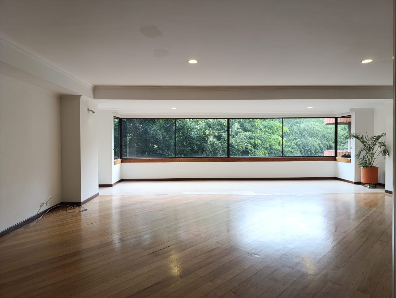 Apartamento en arriendo en Los Balsos No.2, Medellín · foto 5 de 20