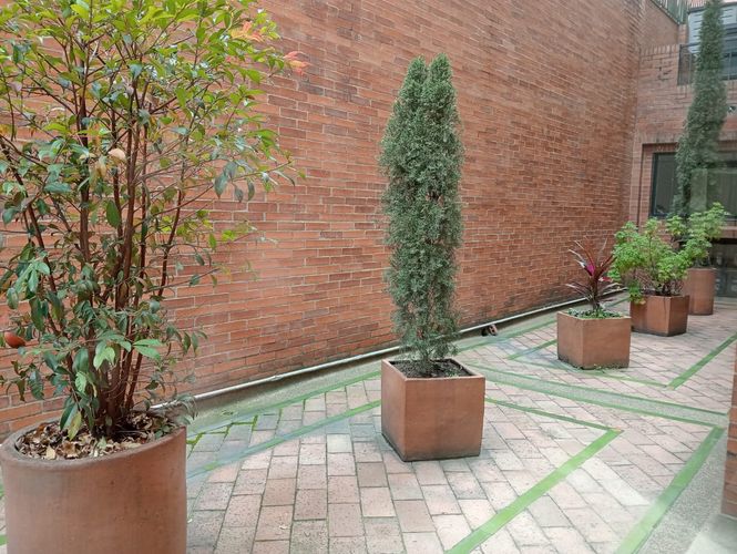Apartamento de 3 alcobas en venta en Chicó Navarra, Bogotá, 186 m² · foto 2 de 17