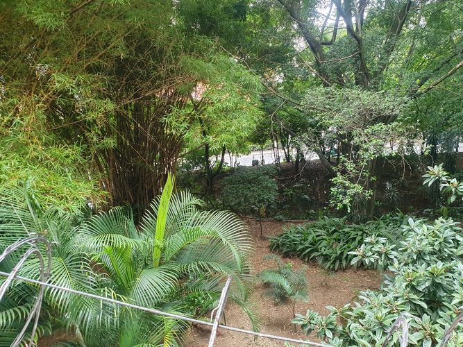 Apartamento de 3 alcobas en venta en El Poblado, Medellín, 142 m² · foto 18 de 18