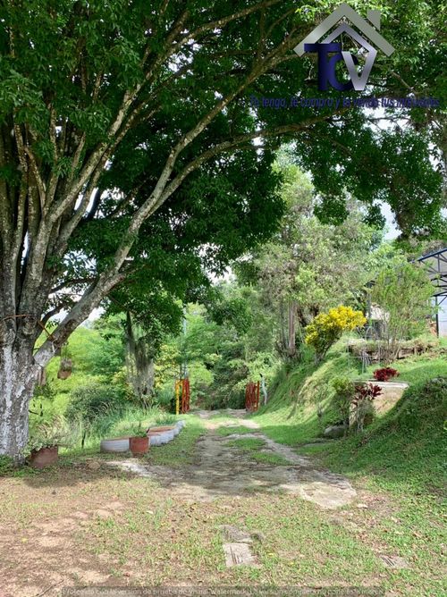 Finca en venta en La Españolita, Piedecuesta, 780 m² · foto 12 de 19