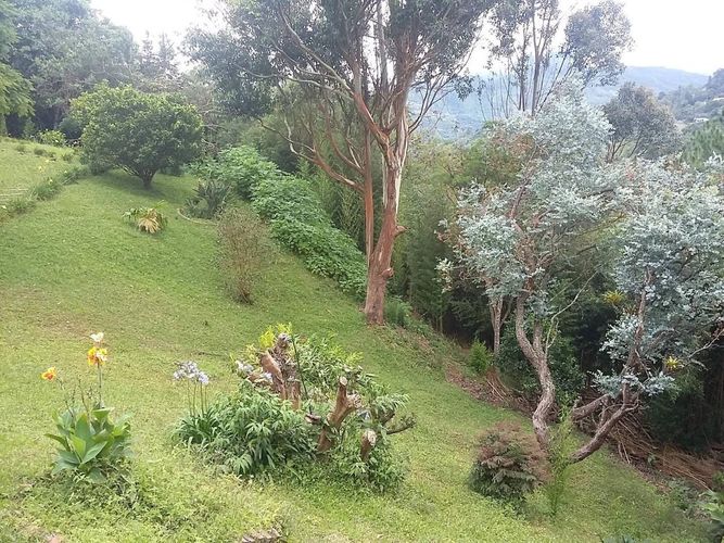Casa de 4 alcobas en venta en El Saladito, Cali · foto 4 de 23