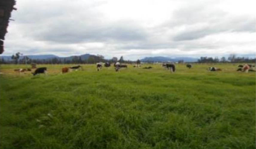 Lote en venta en Portachuelo, Zipaquirá, 30000 m² · foto 2 de 6