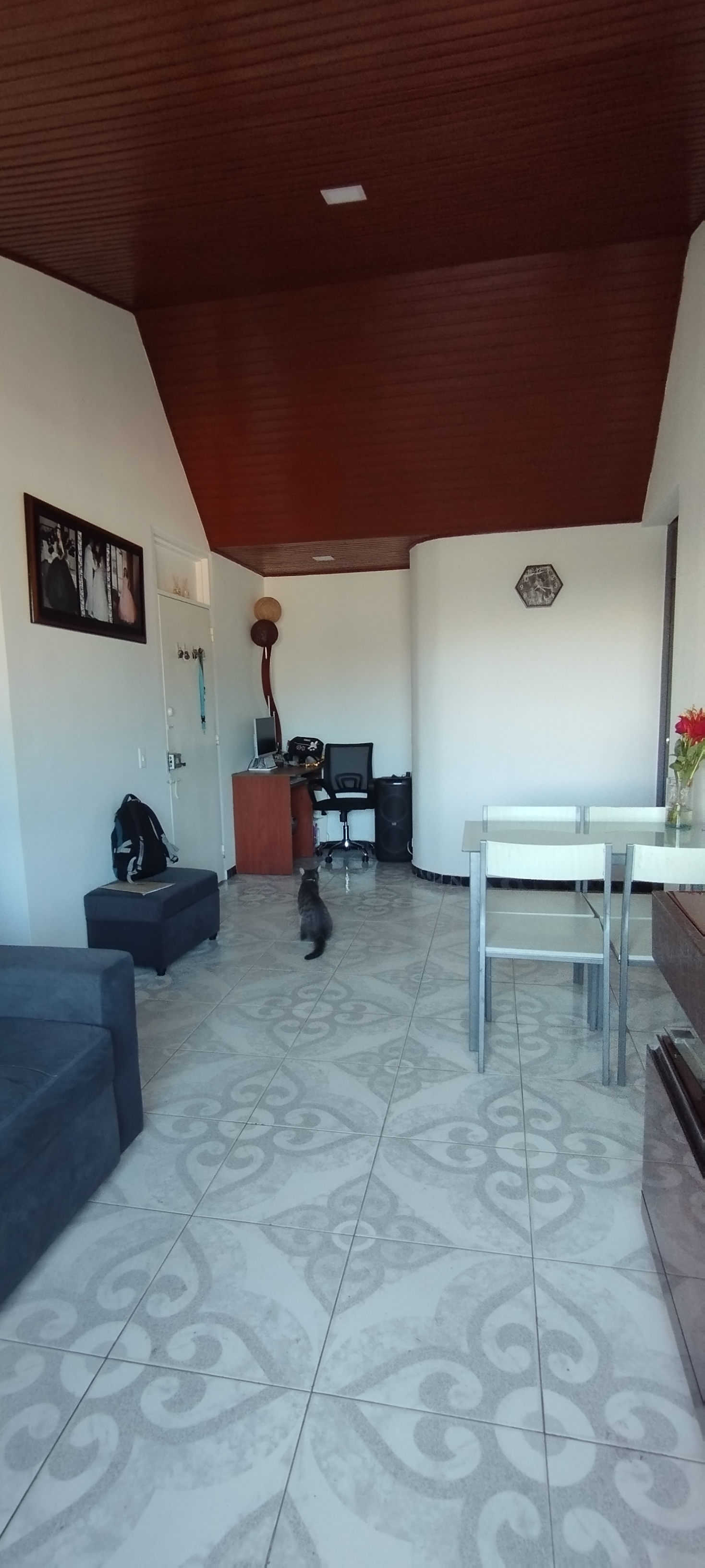 Apartamento en venta en Los Naranjos, Bogotá · foto 11 de 24