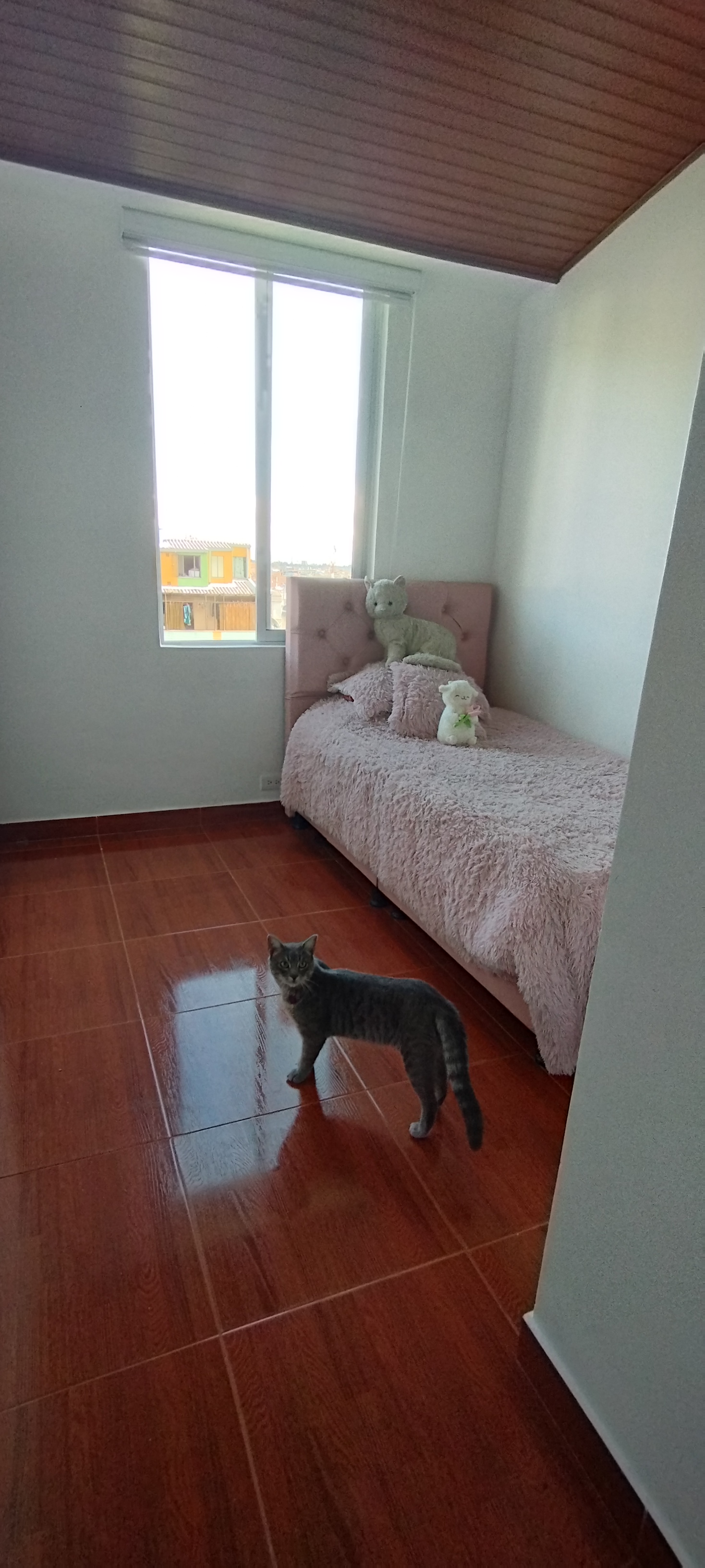 Apartamento en venta en Los Naranjos, Bogotá · foto 18 de 24