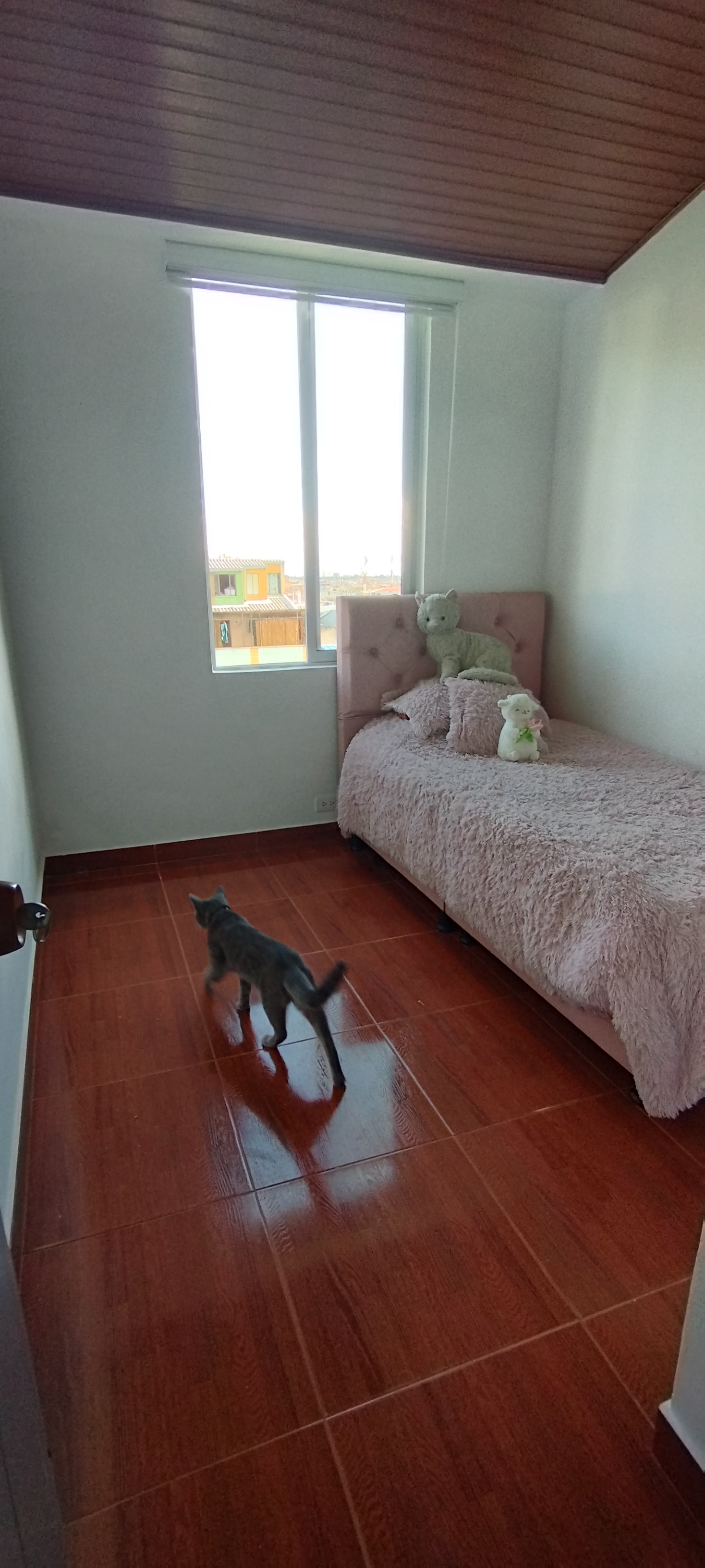 Apartamento en venta en Los Naranjos, Bogotá · foto 19 de 24
