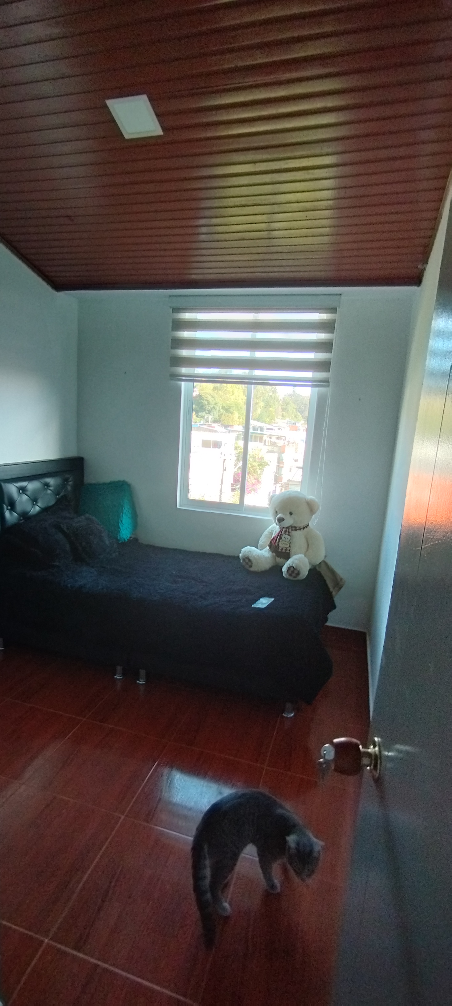 Apartamento en venta en Los Naranjos, Bogotá · foto 21 de 24