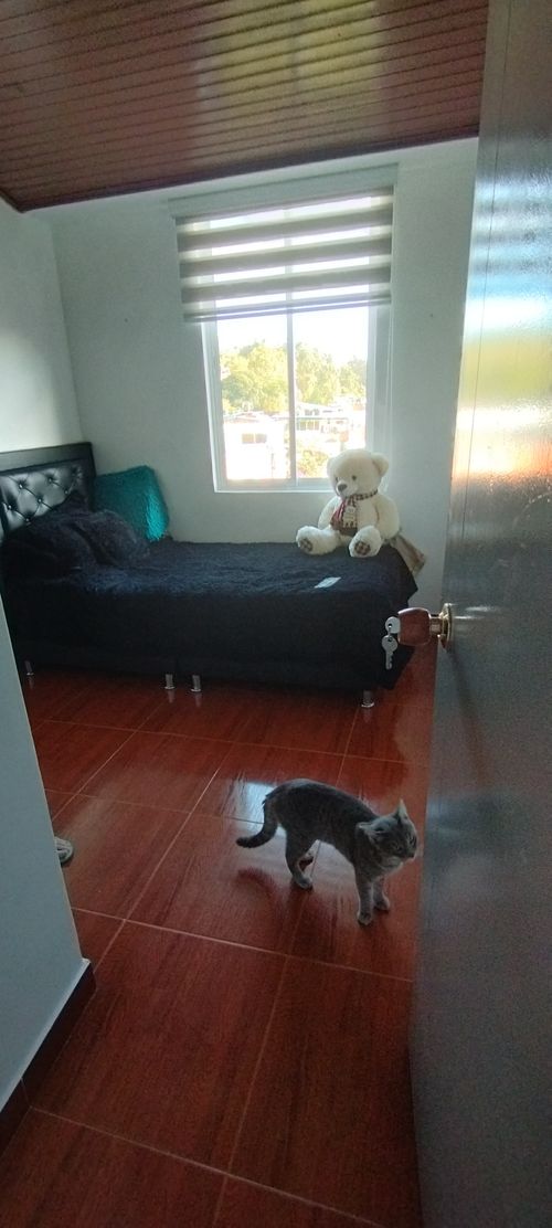 Apartamento en venta en Los Naranjos, Bogotá · foto 22 de 24