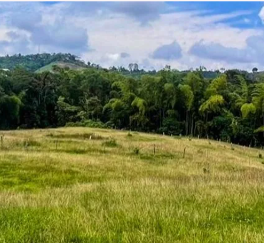 Lote en venta en La Florida, Pereira, 33 m² · foto 2 de 7