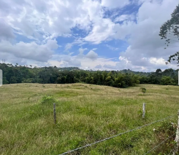 Lote en venta en La Florida, Pereira, 33 m² · foto 3 de 7