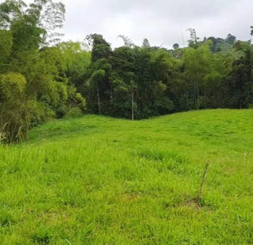 Lote en venta en La Florida, Pereira, 33 m² · foto 4 de 7