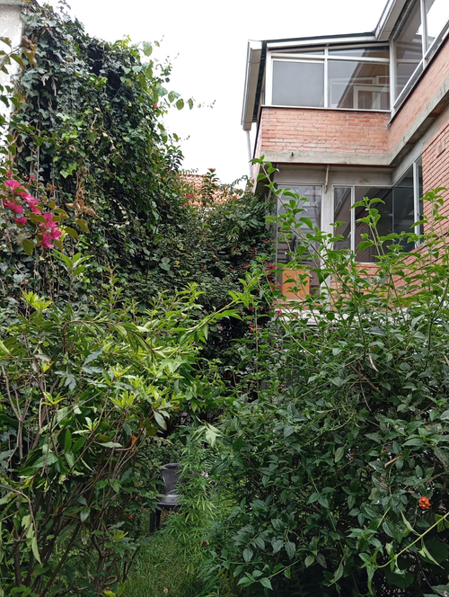 Casa de 13 alcobas en venta en Armenia, Bogotá, 820 m² · foto 7 de 15