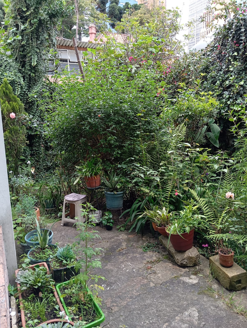 Casa de 13 alcobas en venta en Armenia, Bogotá, 820 m² · foto 6 de 15