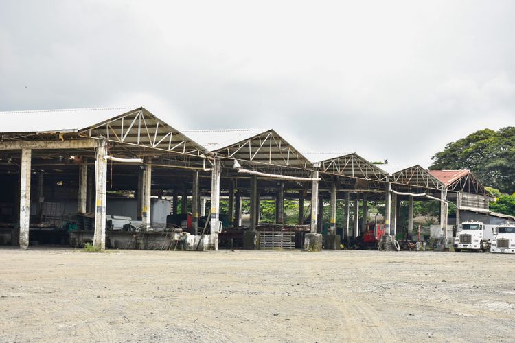 Lote en venta en La Dolores, Palmira, 39827 m² · foto 7 de 10