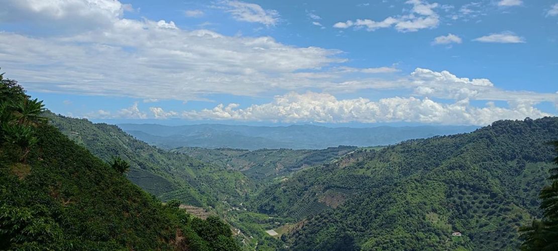 Finca en venta en Cuchilla Del Salado, Manizales, 200 m² · foto 24 de 24