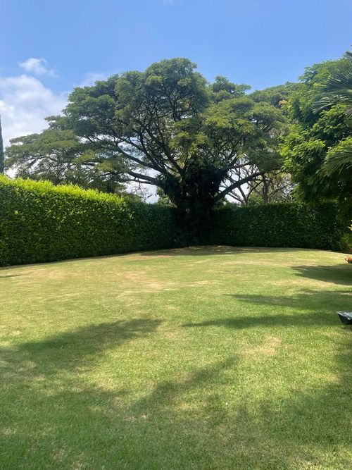 Casa de 5 alcobas en venta en Pance, Cali · foto 13 de 24